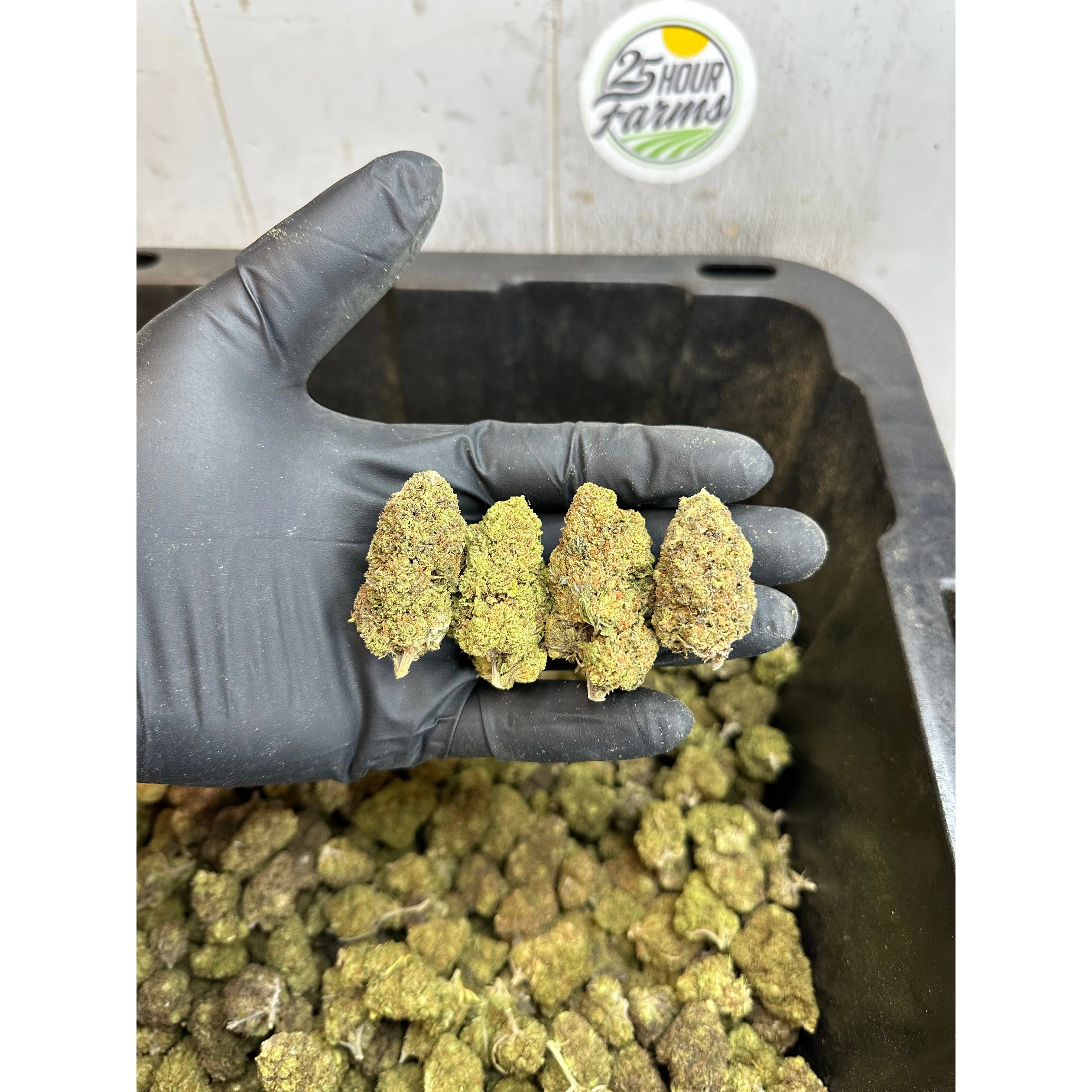 Froot Funk Hemp Flower